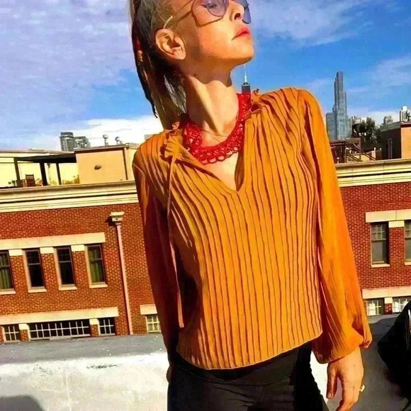 NWT💕FRAME Pleated Tie-Front Top Size XS gold rust size XS & SM $388 - Picture 1 of 9